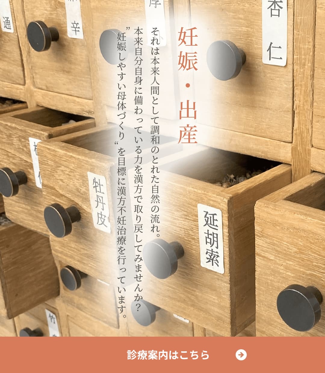 妊娠しやすい母体づくり 妊娠に大切な腹診に重きを置き、  妊娠しやすい軟らかなお腹作りを目指して漢方不妊治療を行っています。